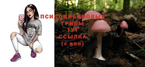mix Дмитров