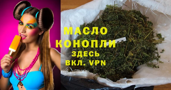 стаф Елабуга