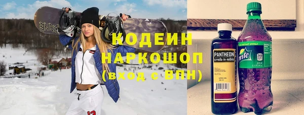 прущие крисы Ельня
