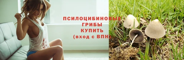 прущий лед Дмитровск
